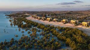 Sir Bani Yas Island - best natural place to visit in uae
