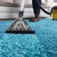 Professional Carpet Cleaning